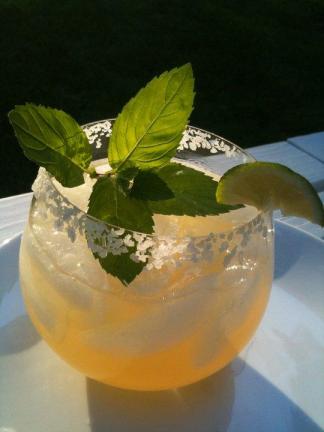 Backyard Margarita1