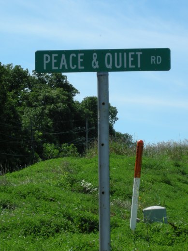 lakehouse Lake Carroll, IL 001